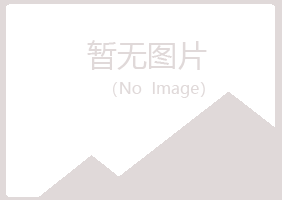 安陆紫山化学有限公司